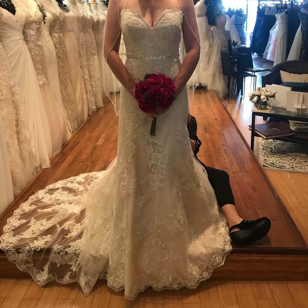 Sheath Lace Wedding Gown